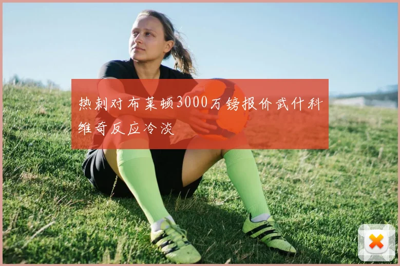 热刺对布莱顿3000万镑报价武什科维奇反应冷淡