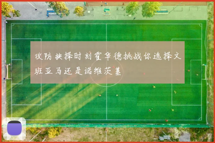 攻防抉择时刻霍华德挑战你选择文班亚马还是诺维茨基