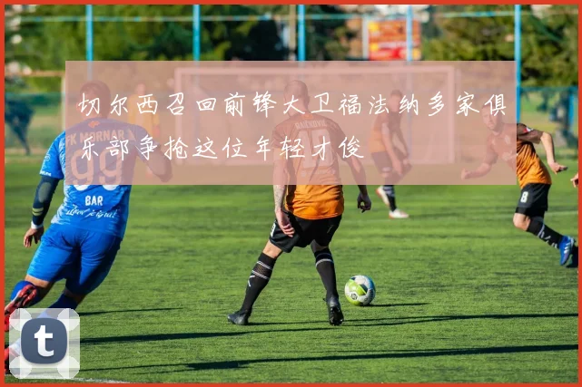 切尔西召回前锋大卫福法纳多家俱乐部争抢这位年轻才俊